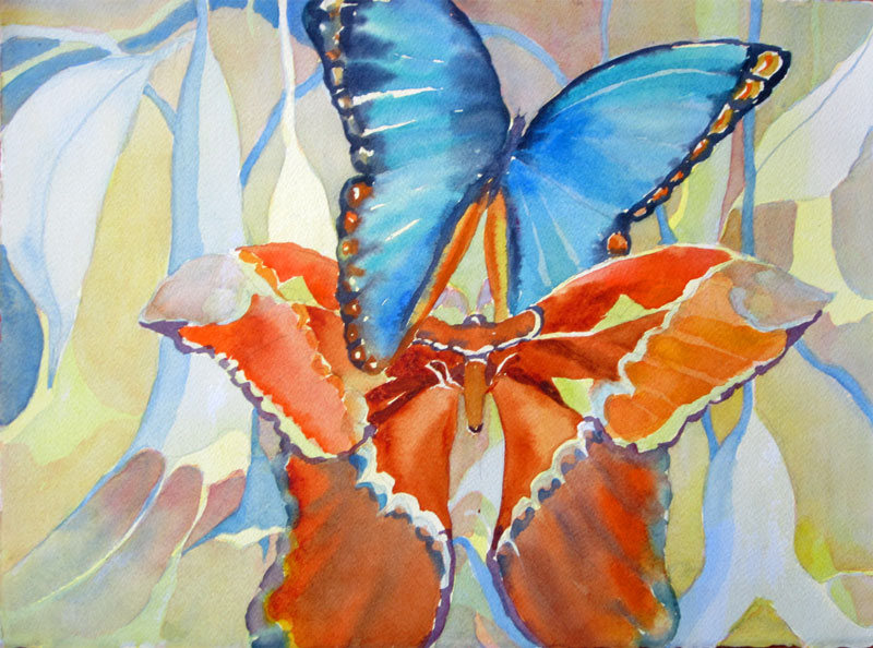 Morpho and Atlas - watercolor, Jan Hart