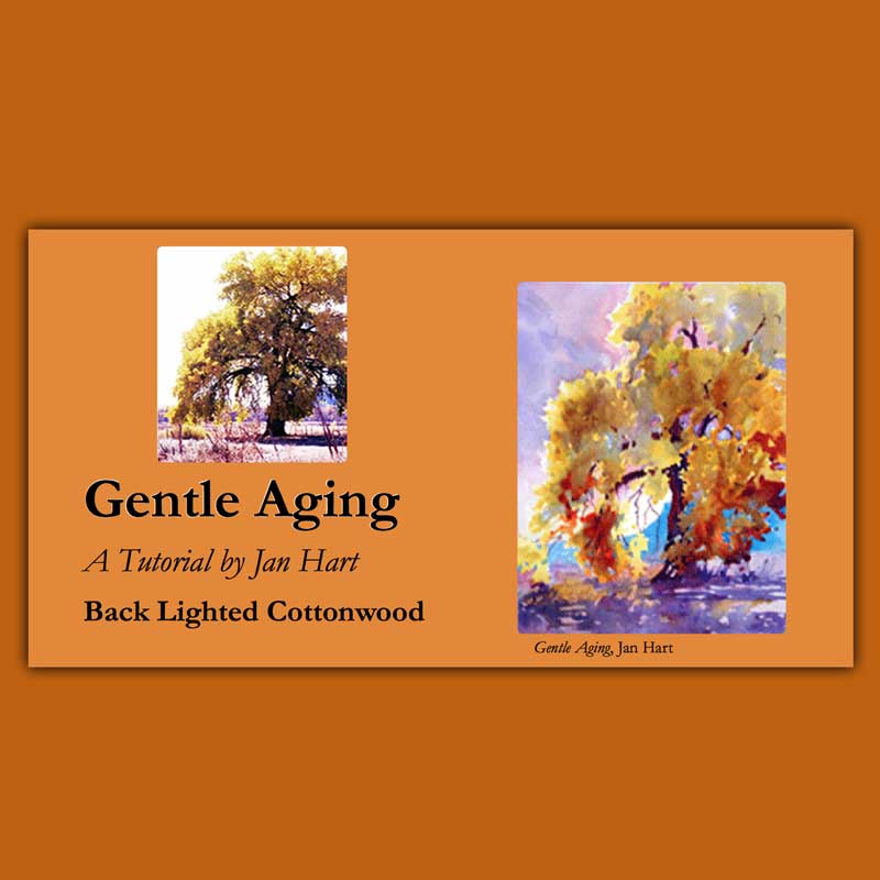 Audio Painting Tutorial - Painting Gentle Aging